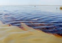 oil spill hindi